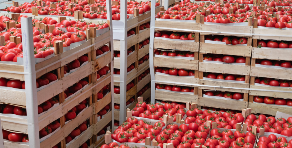 Alnada For Food Industries provides bulk and wholesale supply for supermarkets, restaurants, catering companies, and institutional clients.