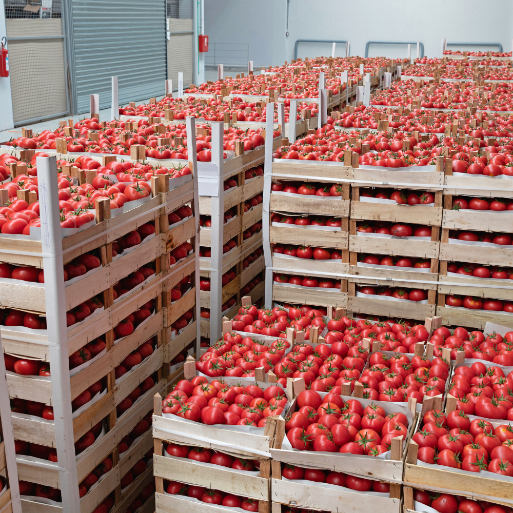 Alnada For Food Industries provides bulk and wholesale supply for supermarkets, restaurants, catering companies, and institutional clients.